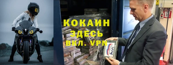 стафф Алексин