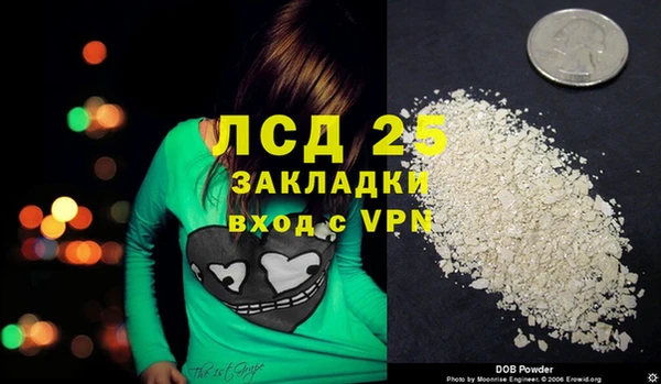 стафф Алексин