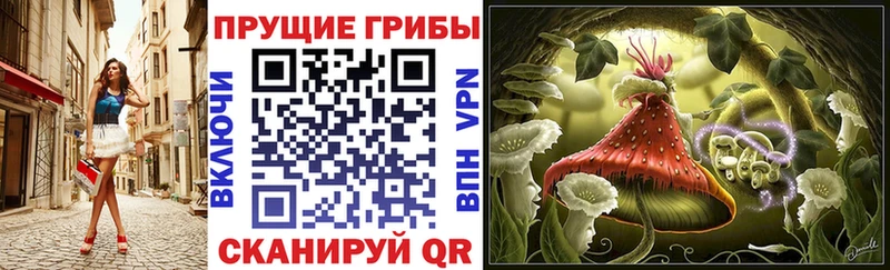 Псилоцибиновые грибы Psilocybe  наркошоп  Льгов 